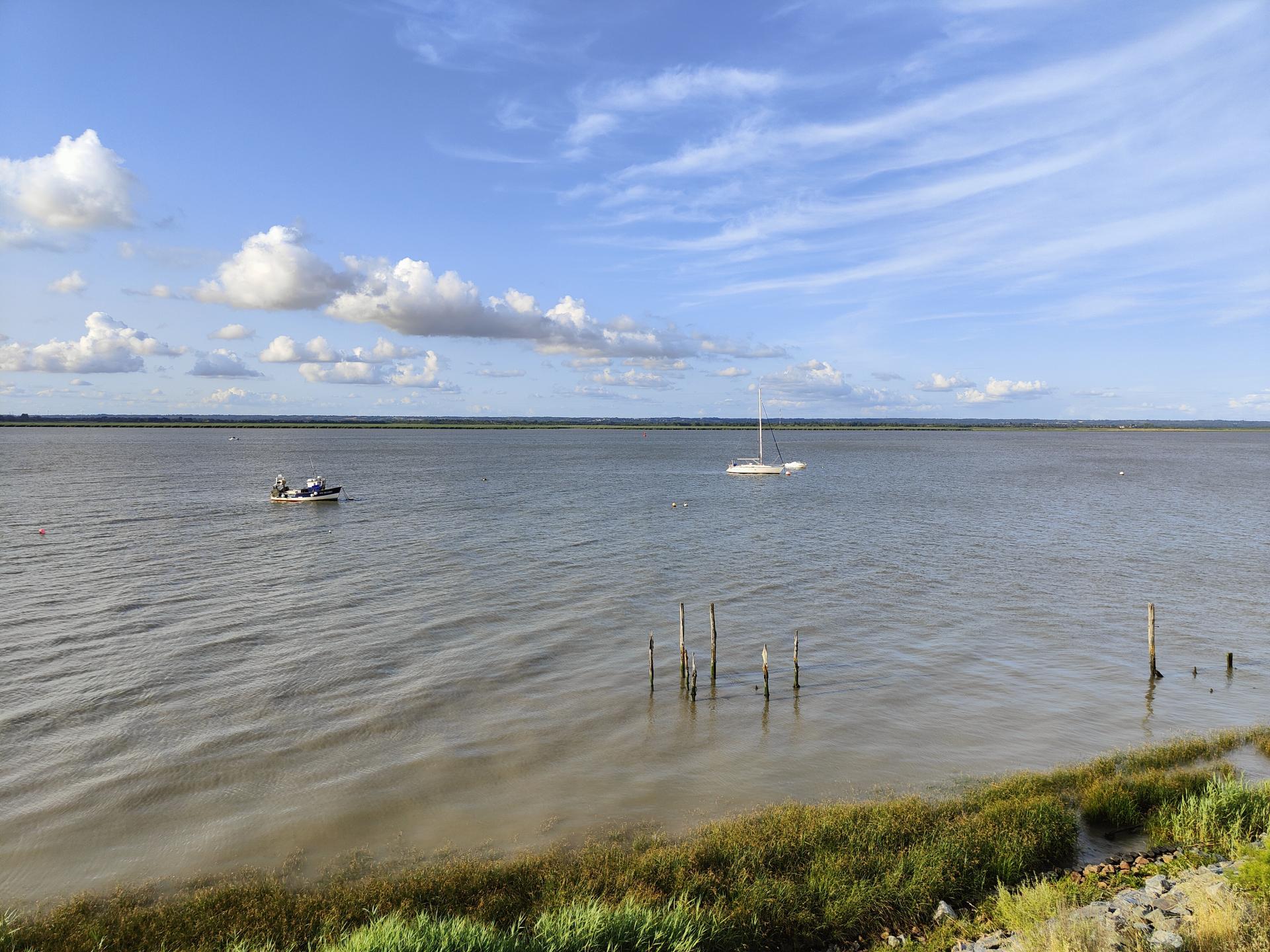 Estuaire de la Loire au niveau de Paimboeuf
C. Capderrey
Estuaire de la Loire