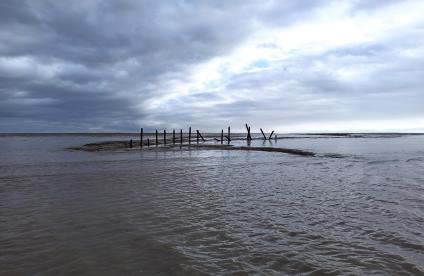 Baie de l'Aiguillon