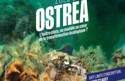 OSTREA