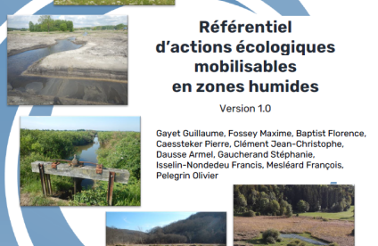 Référentiel d'actions écologiques mobilisables en zones humides