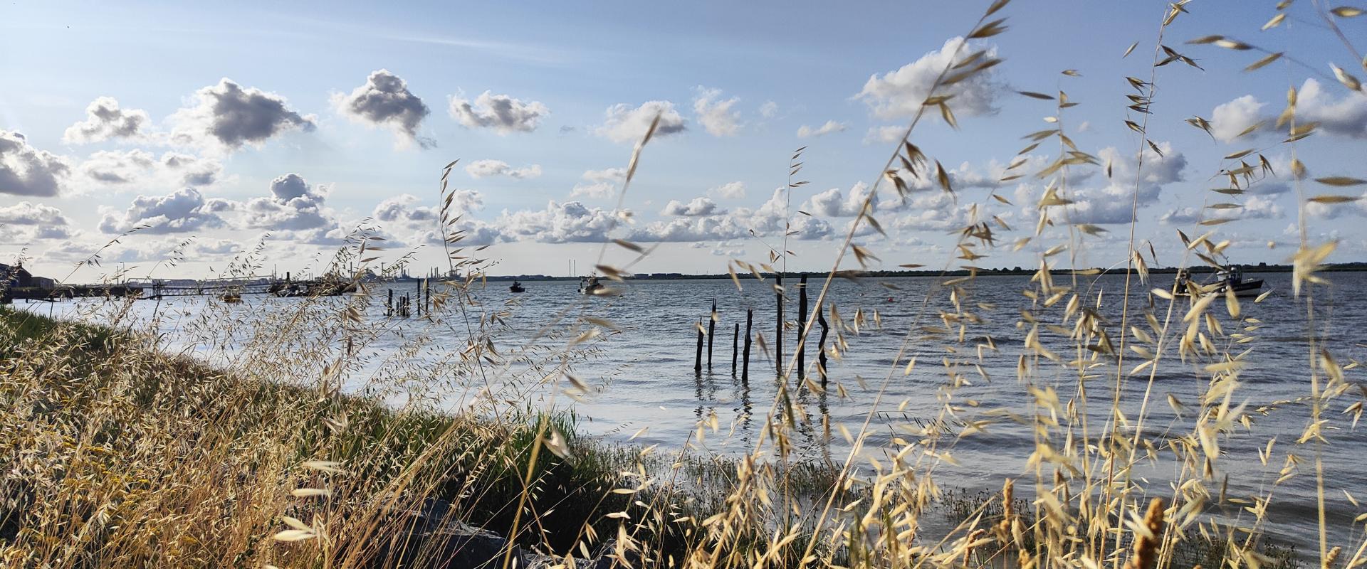 L'estuaire de la Loire au niveau de Paimboeuf