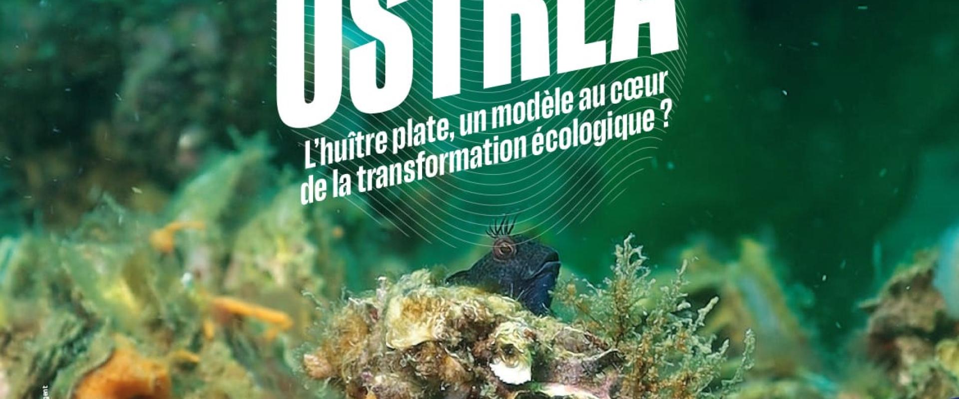 OSTREA
