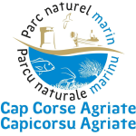 PNM CCA